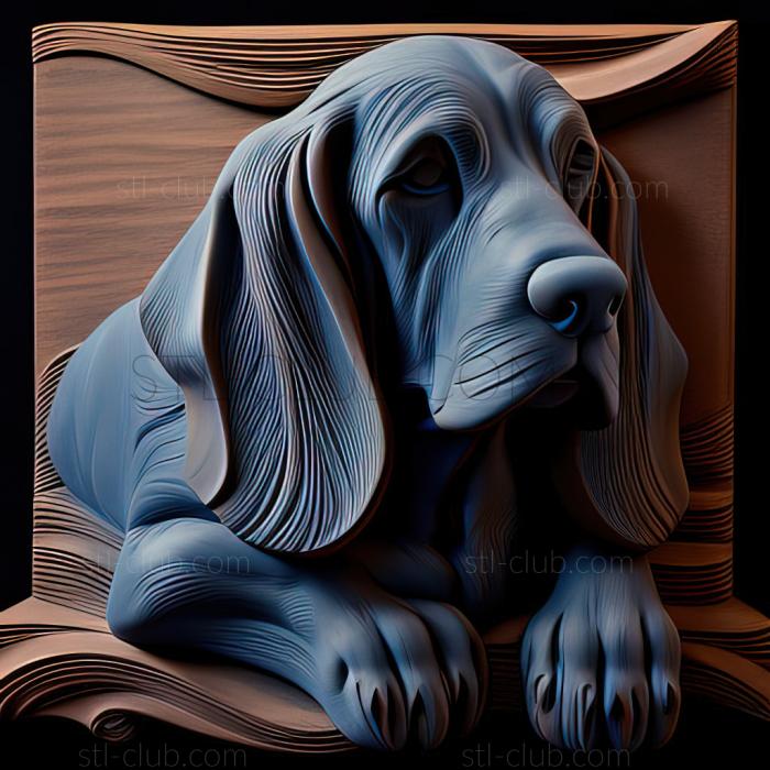 st Blue Gascon Basset dog